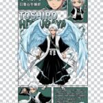 Toshiro PNG 100% Transparent Background Bleach Character